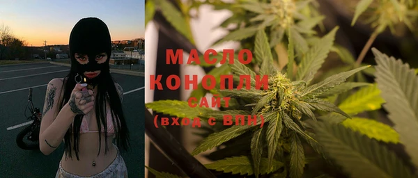 амф Дмитриев