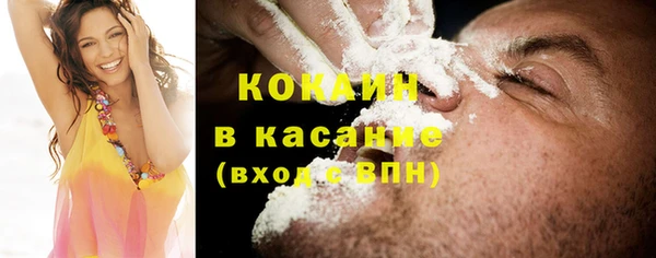 амф Дмитриев