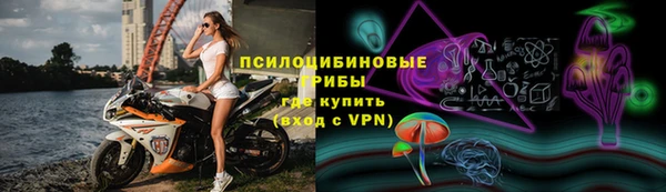 mdpv Дмитровск