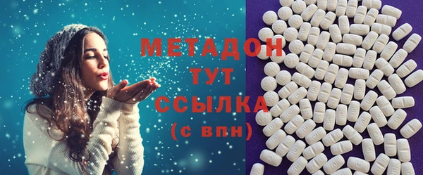 амф Дмитриев