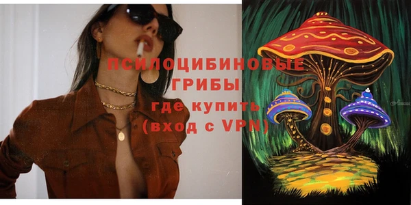 амф Дмитриев