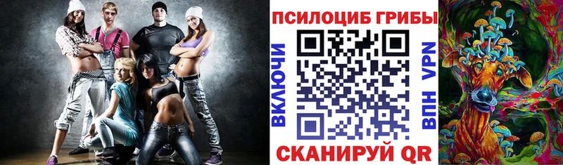 Купить закладки  Елизаветинская  Галлюциногенные грибы Cubensis 